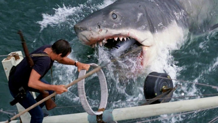 Roy Scheider and Bruce in 'Jaws'